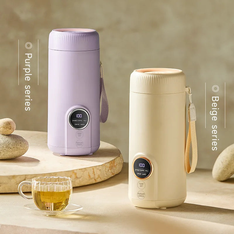 DailySipware SmartBoil Kettle – 550ml